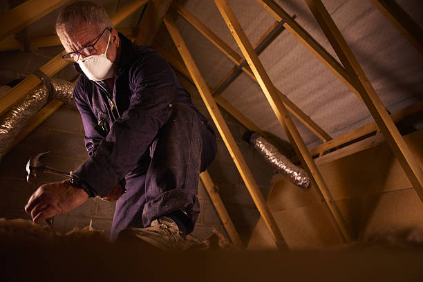 Best Insulation Maintenance and Repair in Weston, WV
